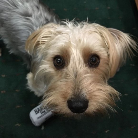 Meet your Posher, Michelle - Picture 6 of 16